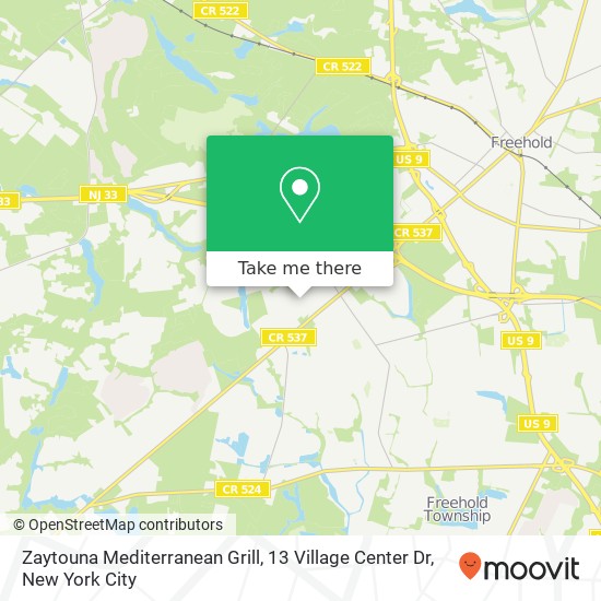 Zaytouna Mediterranean Grill, 13 Village Center Dr map