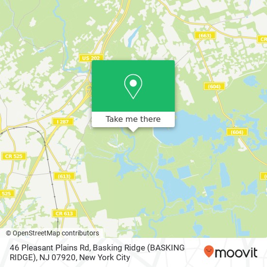 Mapa de 46 Pleasant Plains Rd, Basking Ridge (BASKING RIDGE), NJ 07920