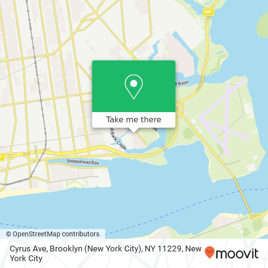 Mapa de Cyrus Ave, Brooklyn (New York City), NY 11229