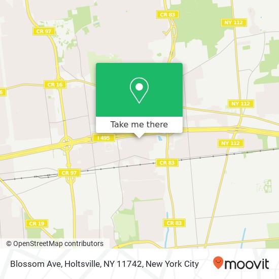 Blossom Ave, Holtsville, NY 11742 map