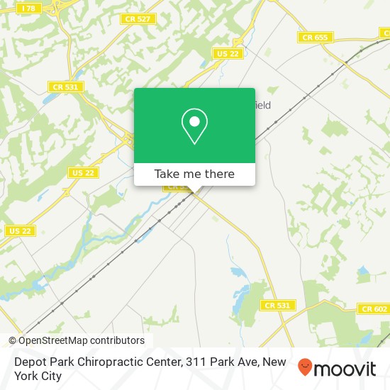 Mapa de Depot Park Chiropractic Center, 311 Park Ave