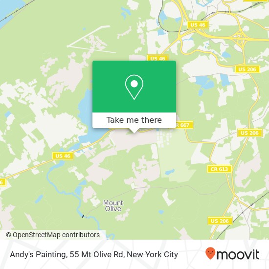 Andy's Painting, 55 Mt Olive Rd map