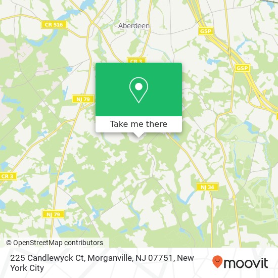 225 Candlewyck Ct, Morganville, NJ 07751 map