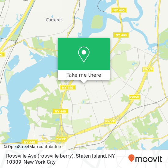 Mapa de Rossville Ave (rossville berry), Staten Island, NY 10309