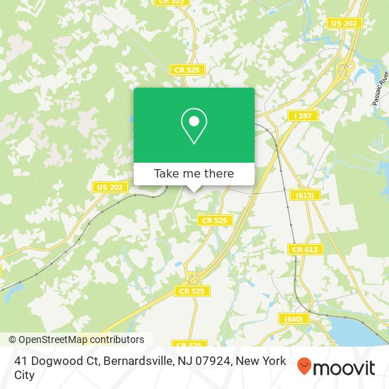 41 Dogwood Ct, Bernardsville, NJ 07924 map