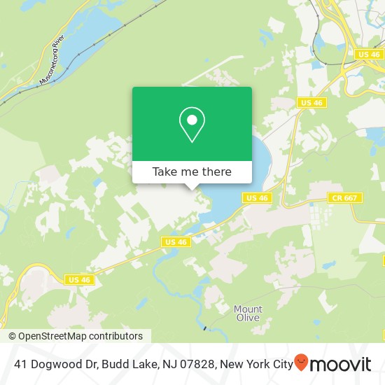 Mapa de 41 Dogwood Dr, Budd Lake, NJ 07828
