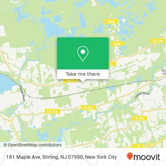 Mapa de 181 Maple Ave, Stirling, NJ 07980