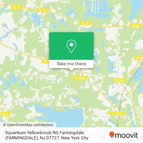 Squankum Yellowbrook Rd, Farmingdale (FARMINGDALE), NJ 07727 map