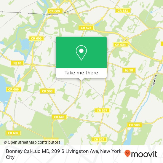 Bonney Cai-Luo MD, 209 S Livingston Ave map