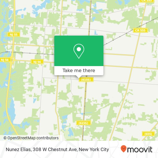 Mapa de Nunez Elias, 308 W Chestnut Ave