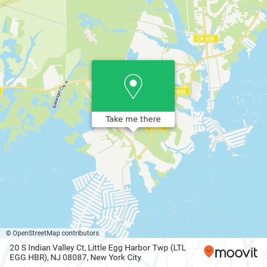 Mapa de 20 S Indian Valley Ct, Little Egg Harbor Twp (LTL EGG HBR), NJ 08087