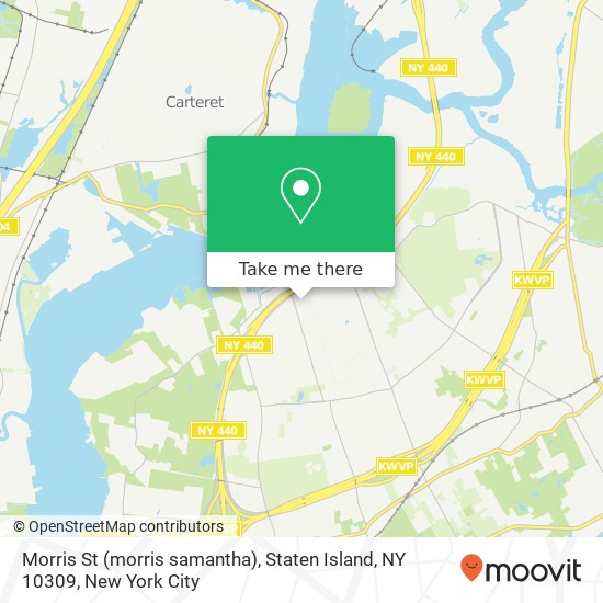 Mapa de Morris St (morris samantha), Staten Island, NY 10309