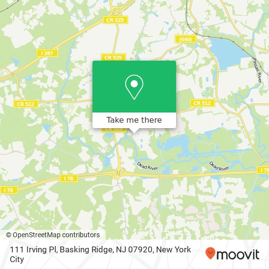 111 Irving Pl, Basking Ridge, NJ 07920 map