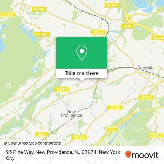 Mapa de 95 Pine Way, New Providence, NJ 07974