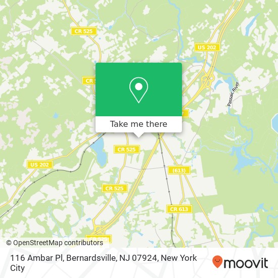 Mapa de 116 Ambar Pl, Bernardsville, NJ 07924