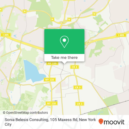 Sonia Belesis Consulting, 105 Maxess Rd map