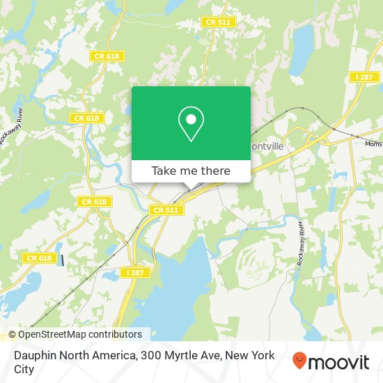 Dauphin North America, 300 Myrtle Ave map