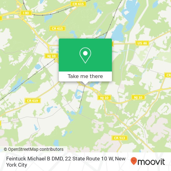 Feintuck Michael B DMD, 22 State Route 10 W map