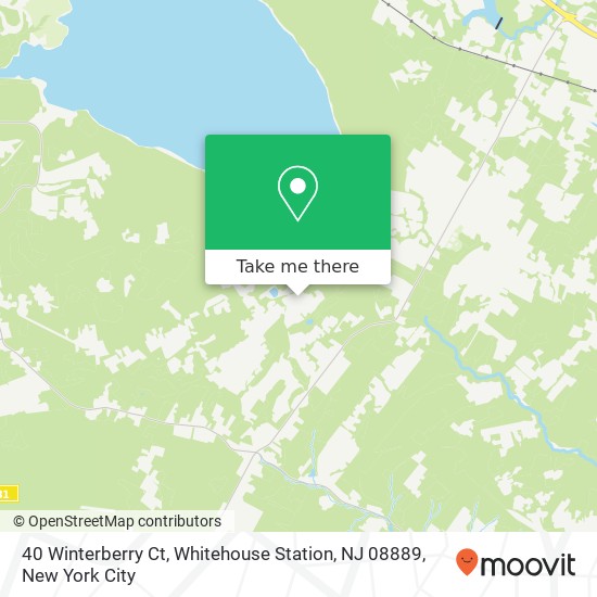 40 Winterberry Ct, Whitehouse Station, NJ 08889 map