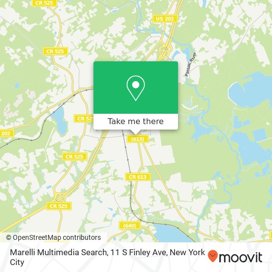 Marelli Multimedia Search, 11 S Finley Ave map