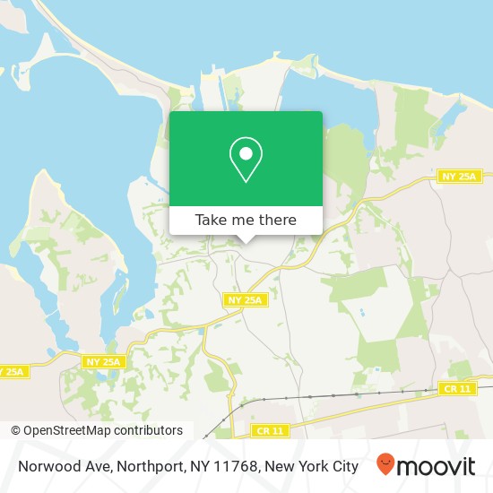 Mapa de Norwood Ave, Northport, NY 11768