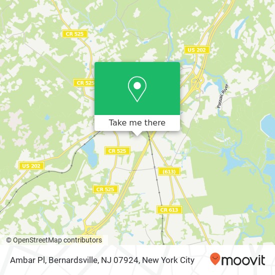 Ambar Pl, Bernardsville, NJ 07924 map