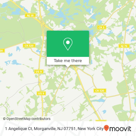 Mapa de 1 Angelique Ct, Morganville, NJ 07751