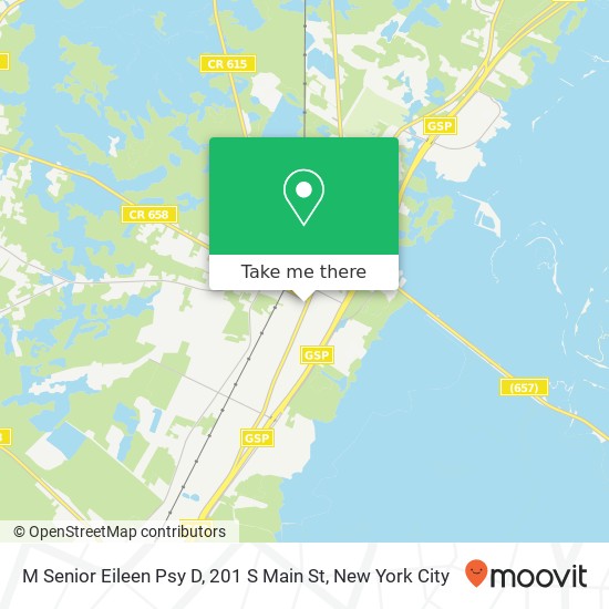 Mapa de M Senior Eileen Psy D, 201 S Main St