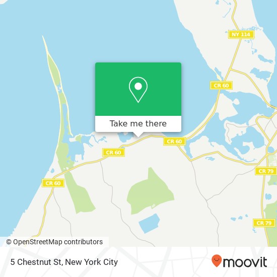 5 Chestnut St, Sag Harbor (BAY POINT), NY 11963 map