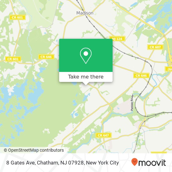 Mapa de 8 Gates Ave, Chatham, NJ 07928