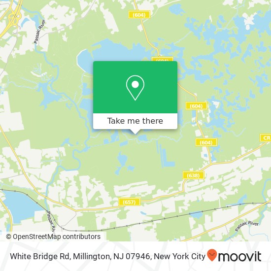 Mapa de White Bridge Rd, Millington, NJ 07946