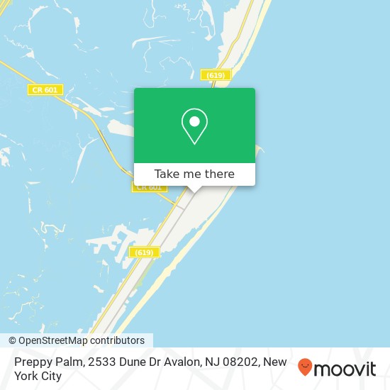 Mapa de Preppy Palm, 2533 Dune Dr Avalon, NJ 08202