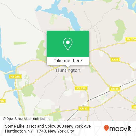 Some Like It Hot and Spicy, 380 New York Ave Huntington, NY 11743 map