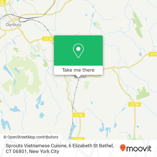 Sprouts Vietnamese Cuisine, 6 Elizabeth St Bethel, CT 06801 map