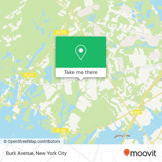 Burk Avenue map