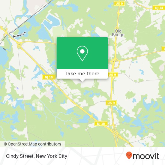 Cindy Street map