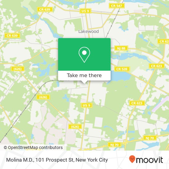 Molina M.D., 101 Prospect St map