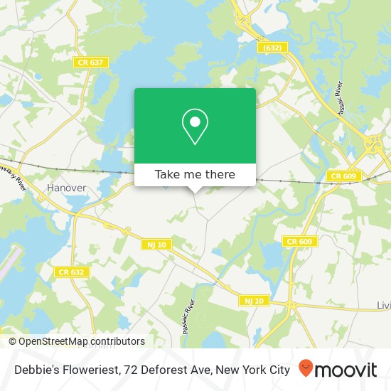 Mapa de Debbie's Floweriest, 72 Deforest Ave
