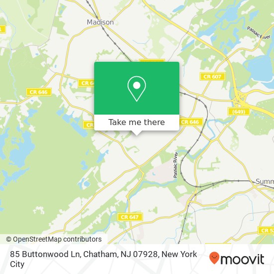 85 Buttonwood Ln, Chatham, NJ 07928 map