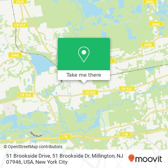 51 Brookside Drive, 51 Brookside Dr, Millington, NJ 07946, USA map