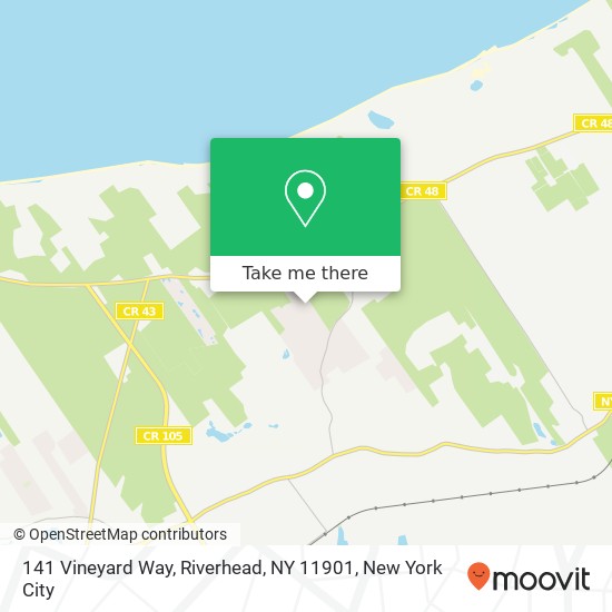 141 Vineyard Way, Riverhead, NY 11901 map