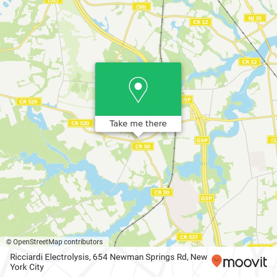 Mapa de Ricciardi Electrolysis, 654 Newman Springs Rd