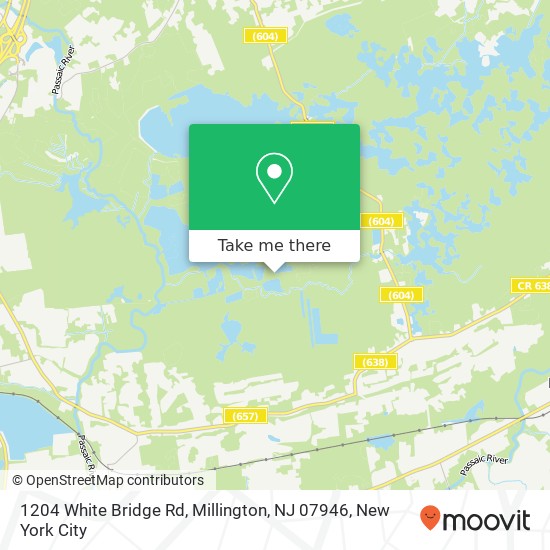 1204 White Bridge Rd, Millington, NJ 07946 map