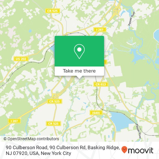 Mapa de 90 Culberson Road, 90 Culberson Rd, Basking Ridge, NJ 07920, USA