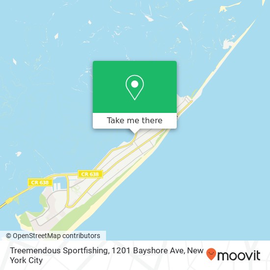 Treemendous Sportfishing, 1201 Bayshore Ave map