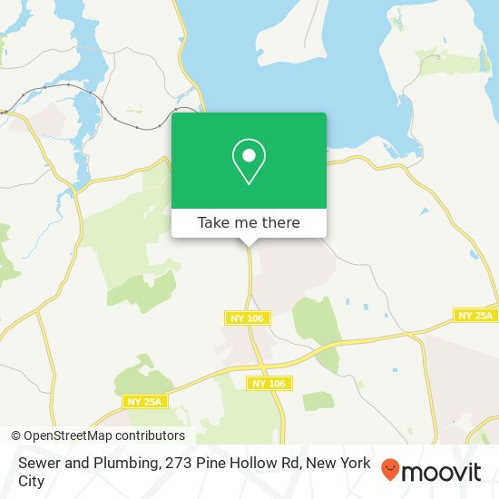 Mapa de Sewer and Plumbing, 273 Pine Hollow Rd