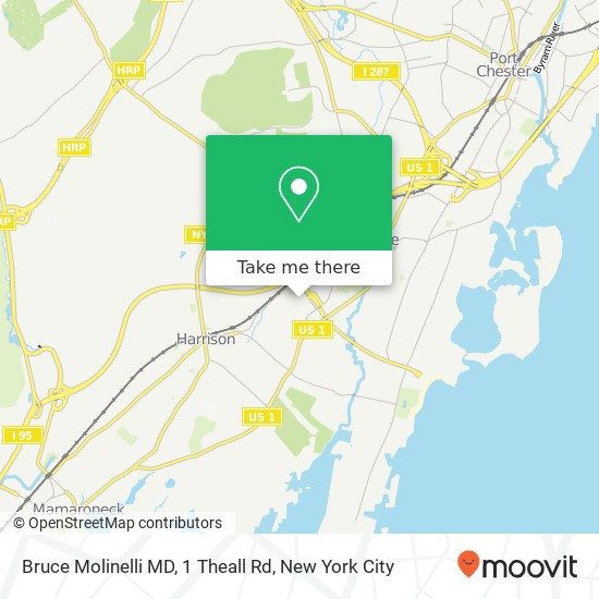 Mapa de Bruce Molinelli MD, 1 Theall Rd