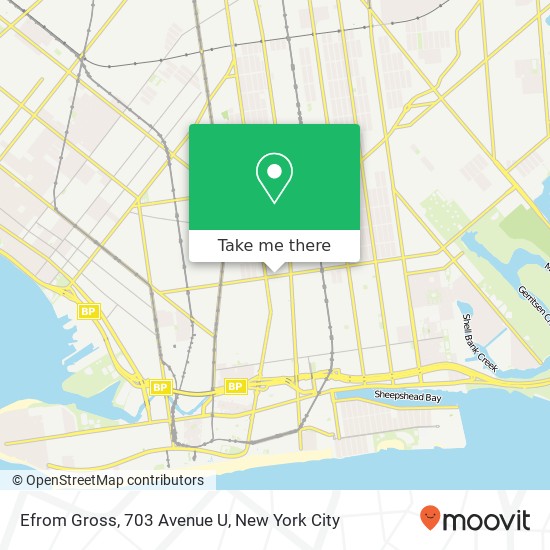 Efrom Gross, 703 Avenue U map
