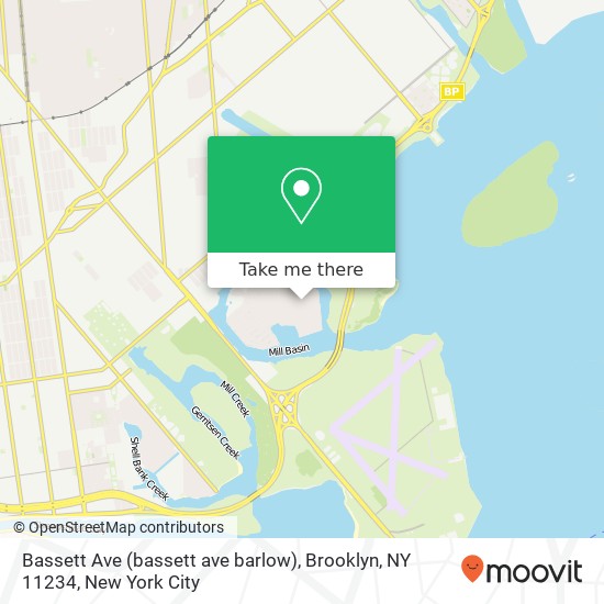 Bassett Ave (bassett ave barlow), Brooklyn, NY 11234 map