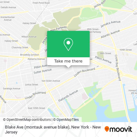 Blake Ave (montauk avenue blake) map